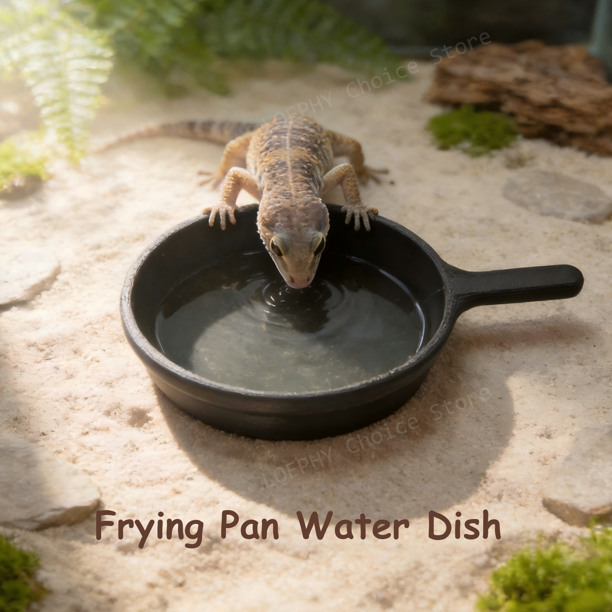 Water Dish Reptile - Funny Frying Pan Design Gecko Water