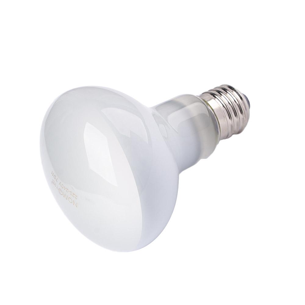 Lizard Heater Temperature Cont - Basking Bulb Halogen avis et prix