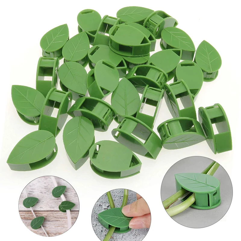1-50Pcs invisible plant wall c - Vine Climbing Plastic avis et prix
