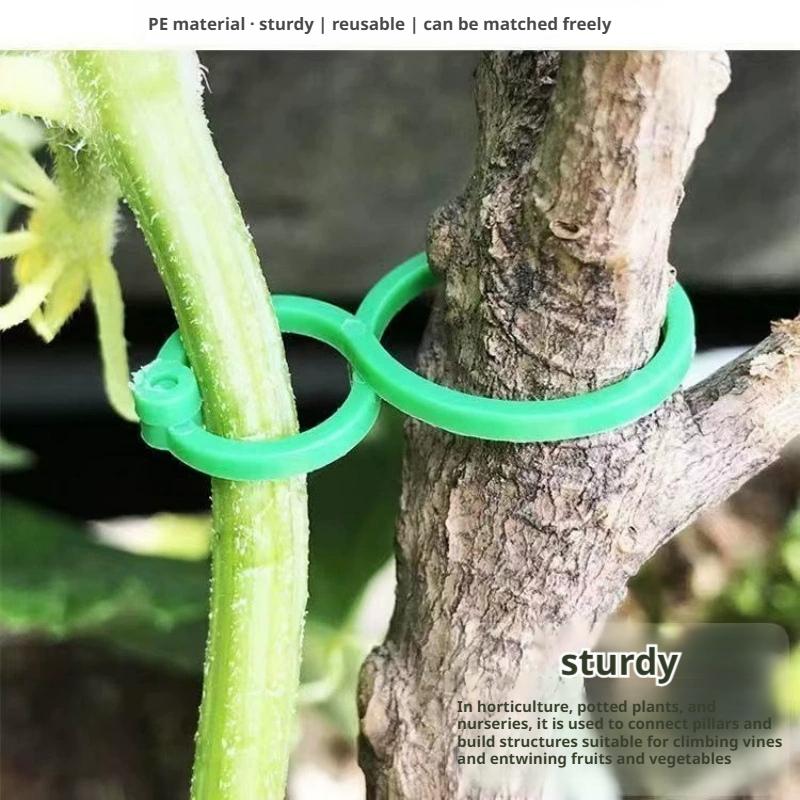 100 Pcs Plant Support Clips He - Vine Climbing Plastic avis et prix