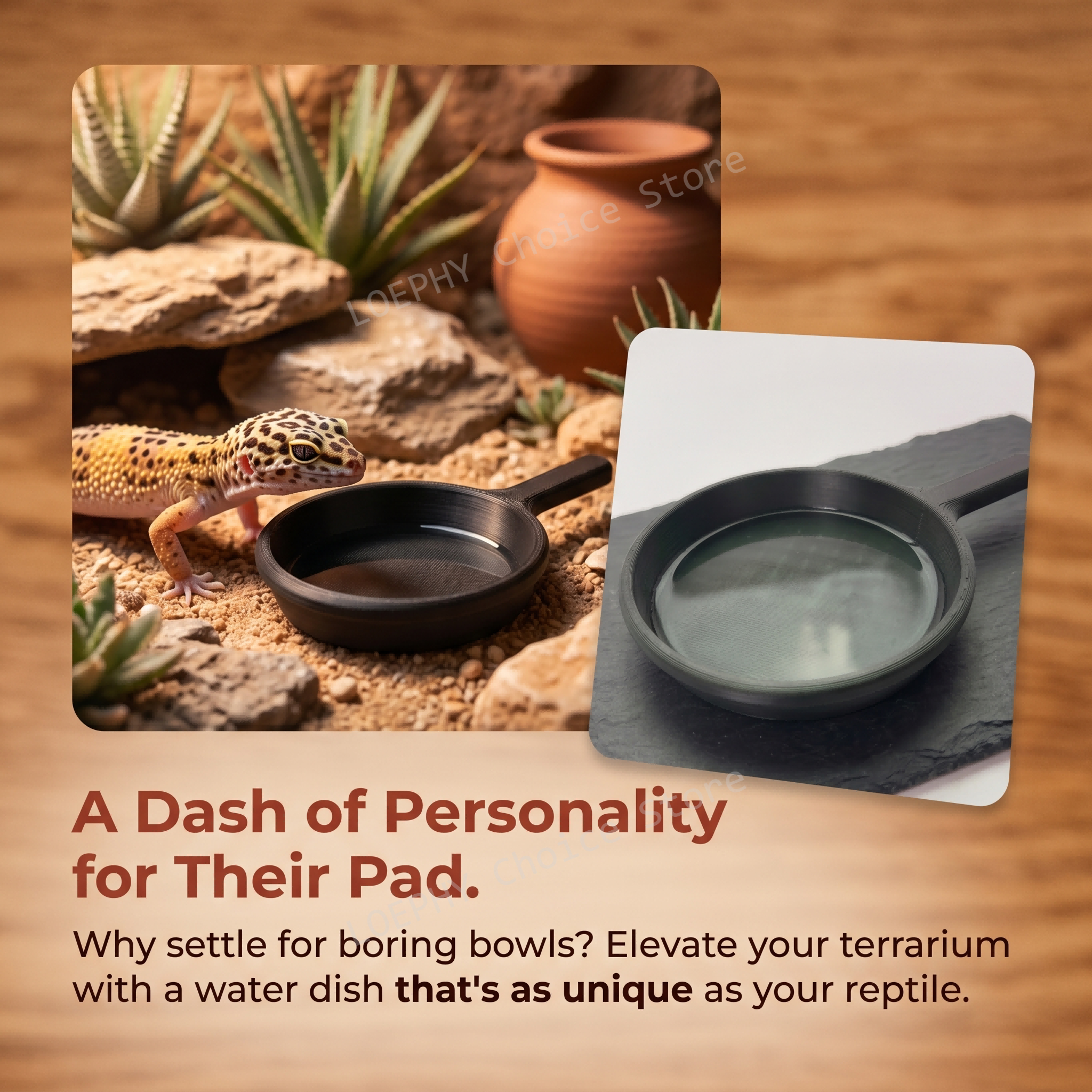 Funny Frying Pan Design Gecko  - Water Dish Reptile avis et prix
