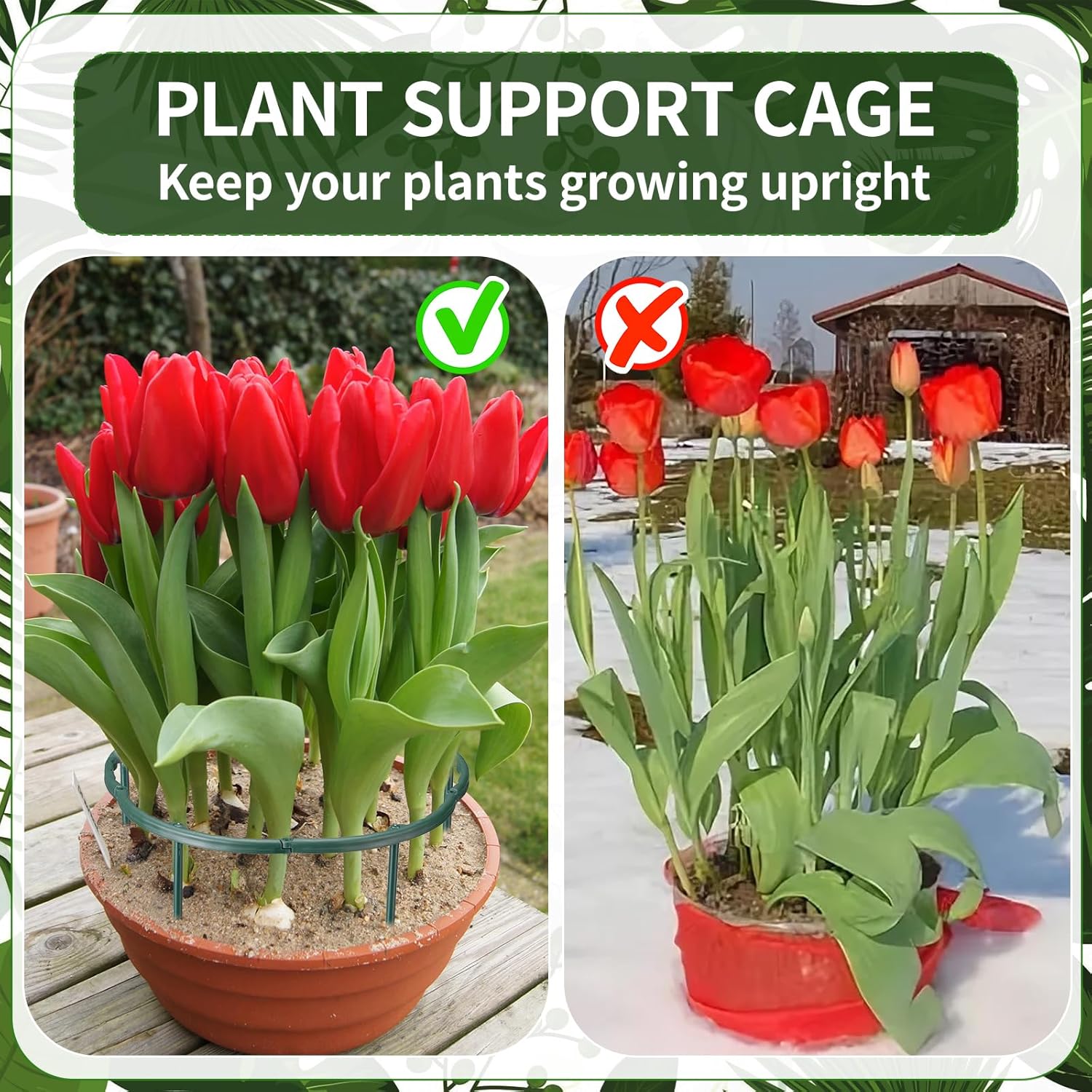 1/16pcs Plant Support Stake Fl - Vine Climbing Plastic avis et prix