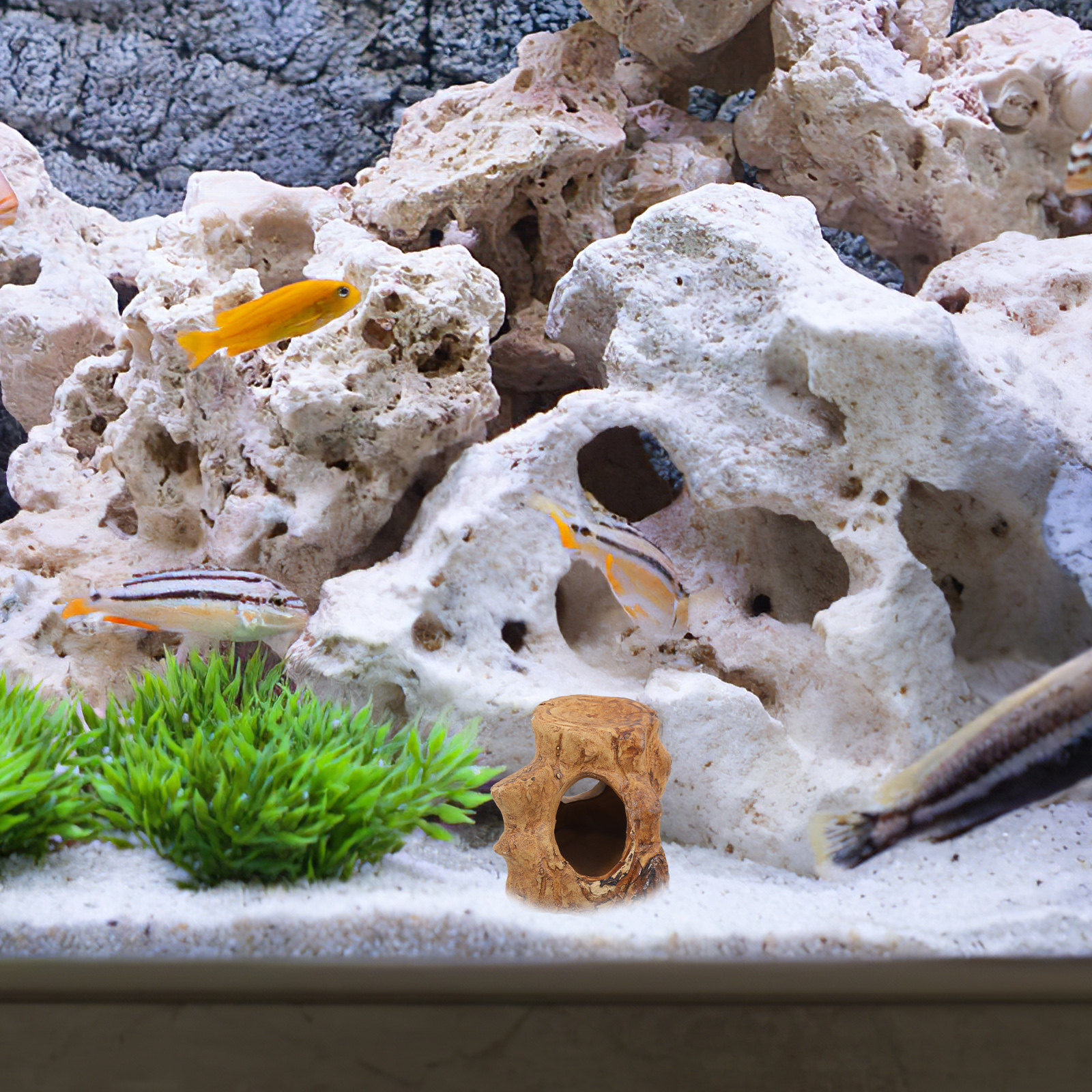 Aquarium Fish House Ceramic Ca - Hide Cave Ceramic avis et prix