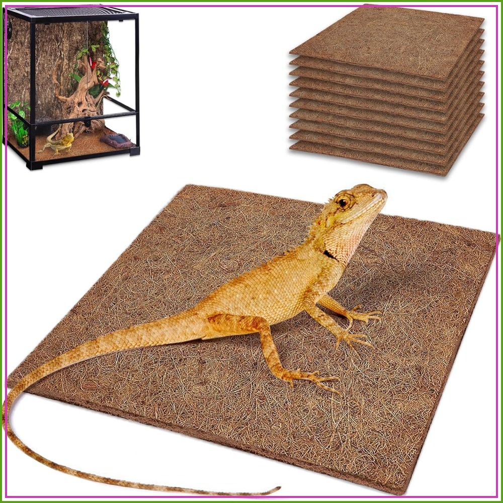 10 Pcs Natural Coconut Fiber R - Substrate Coconut Fiber avis et prix
