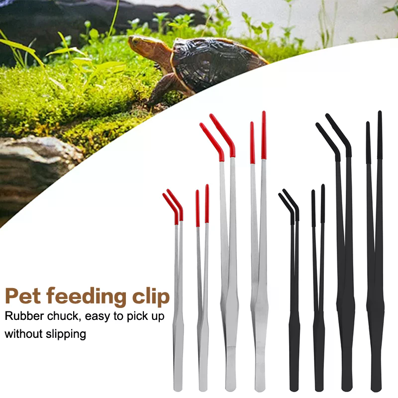 Stainless Steel Reptile Feedin - Feeding Tong Stainless avis et prix