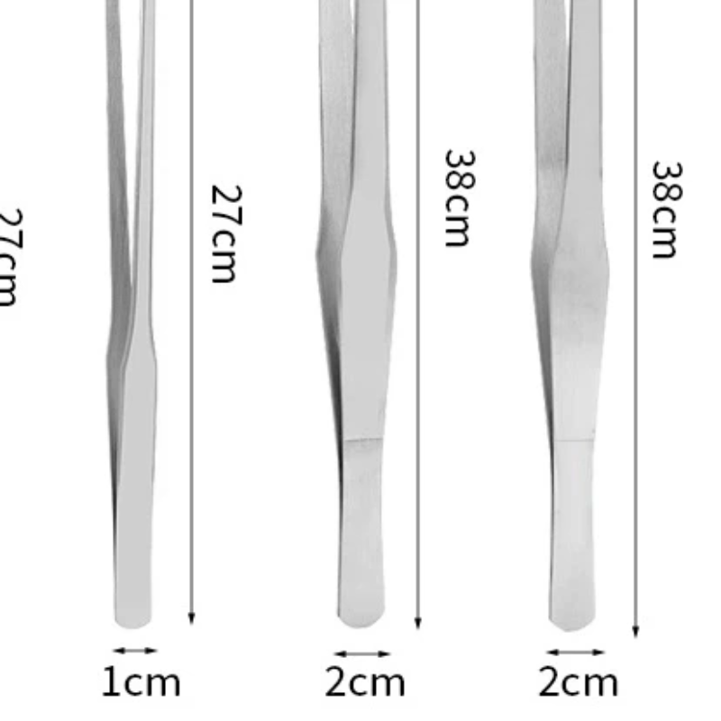 Stainless Steel Reptile Feedin - Feeding Tong Stainless avis et prix