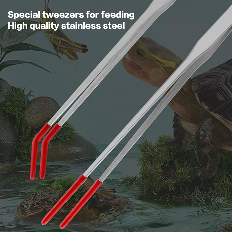 Stainless Steel Reptile Feedin - Feeding Tong Stainless avis et prix