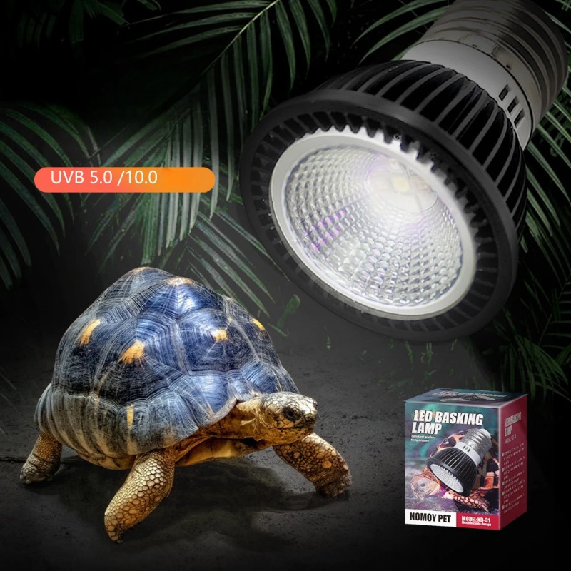 NOMOY Reptile 110/220V UVB+UVA - Calcium Powder Reptile avis et prix