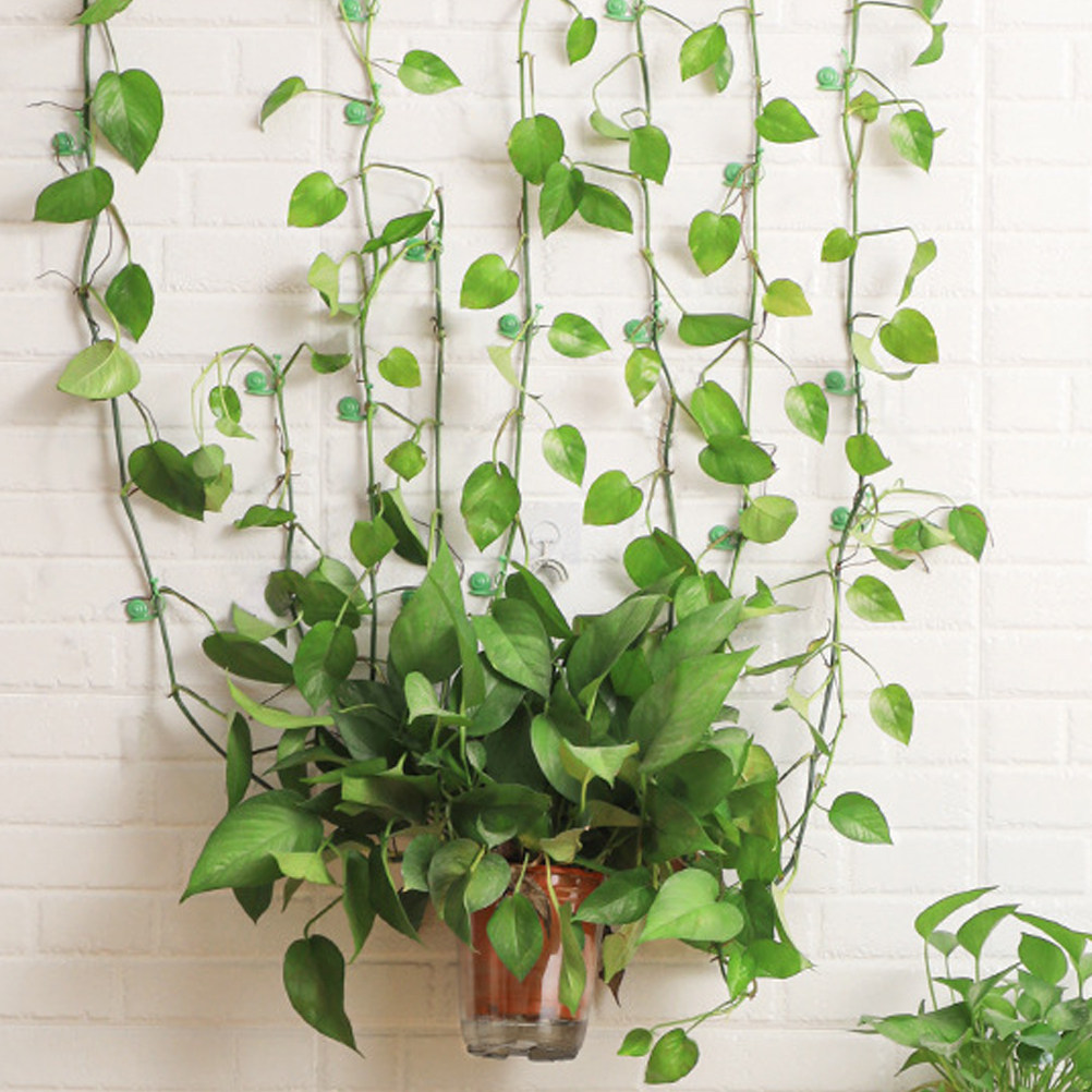 20Pcs Plant Climbing Wall Clip - Vine Climbing Plastic avis et prix