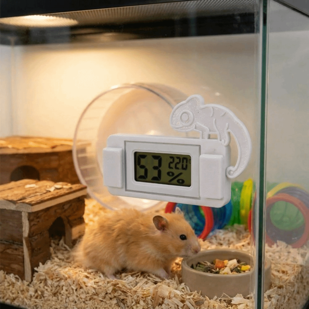 Magnetic LCD Digital Thermomet - Digital Hygrometer Probe avis et prix