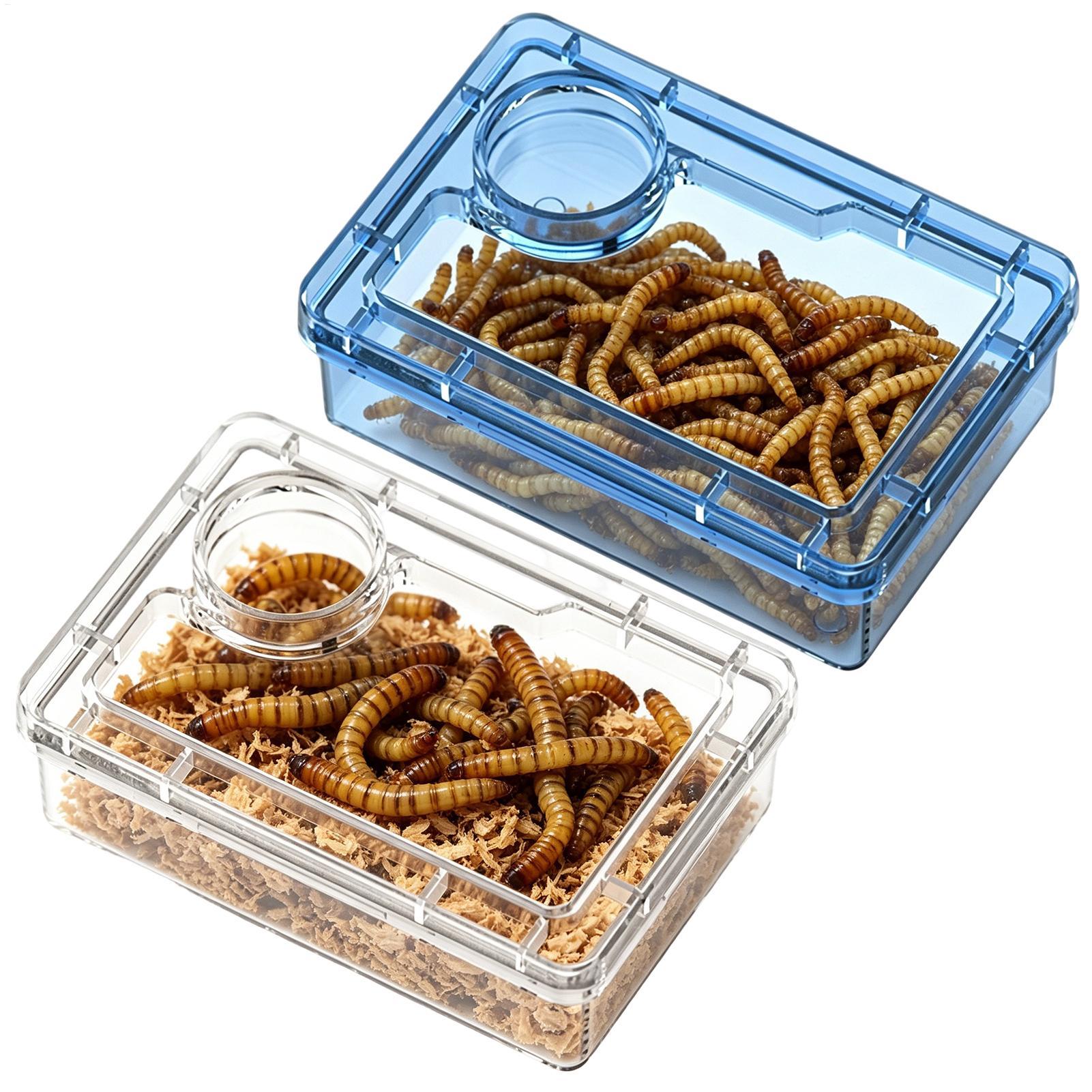 Reptile Escape Proof Feeding D - Calcium Powder Reptile avis et prix