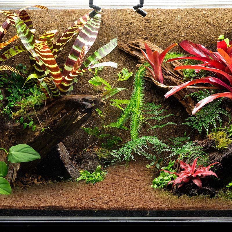 AT21-Natural Coconut Fiber Mat - Substrate Coconut Fiber avis et prix