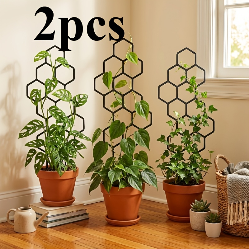 Two Climbing Plant Training De - Vine Climbing Plastic avis et prix