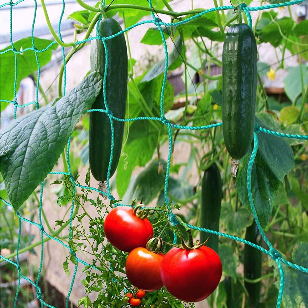 1pc Trellis Netting, Portable  - Vine Climbing Plastic avis et prix