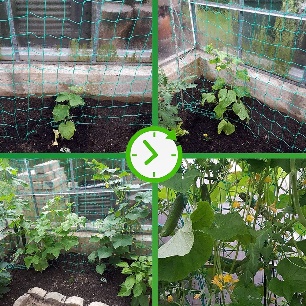 1pc Trellis Netting, Portable  - Vine Climbing Plastic avis et prix