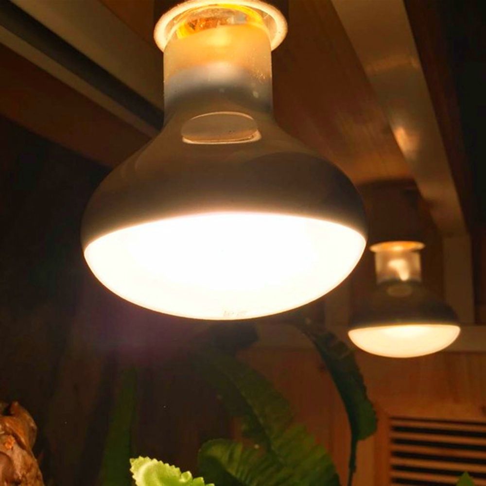 Turtle Temperature Controller  - Basking Bulb Halogen avis et prix