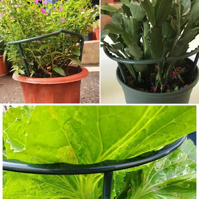 1-9set Plastic Plant Support P - Vine Climbing Plastic avis et prix