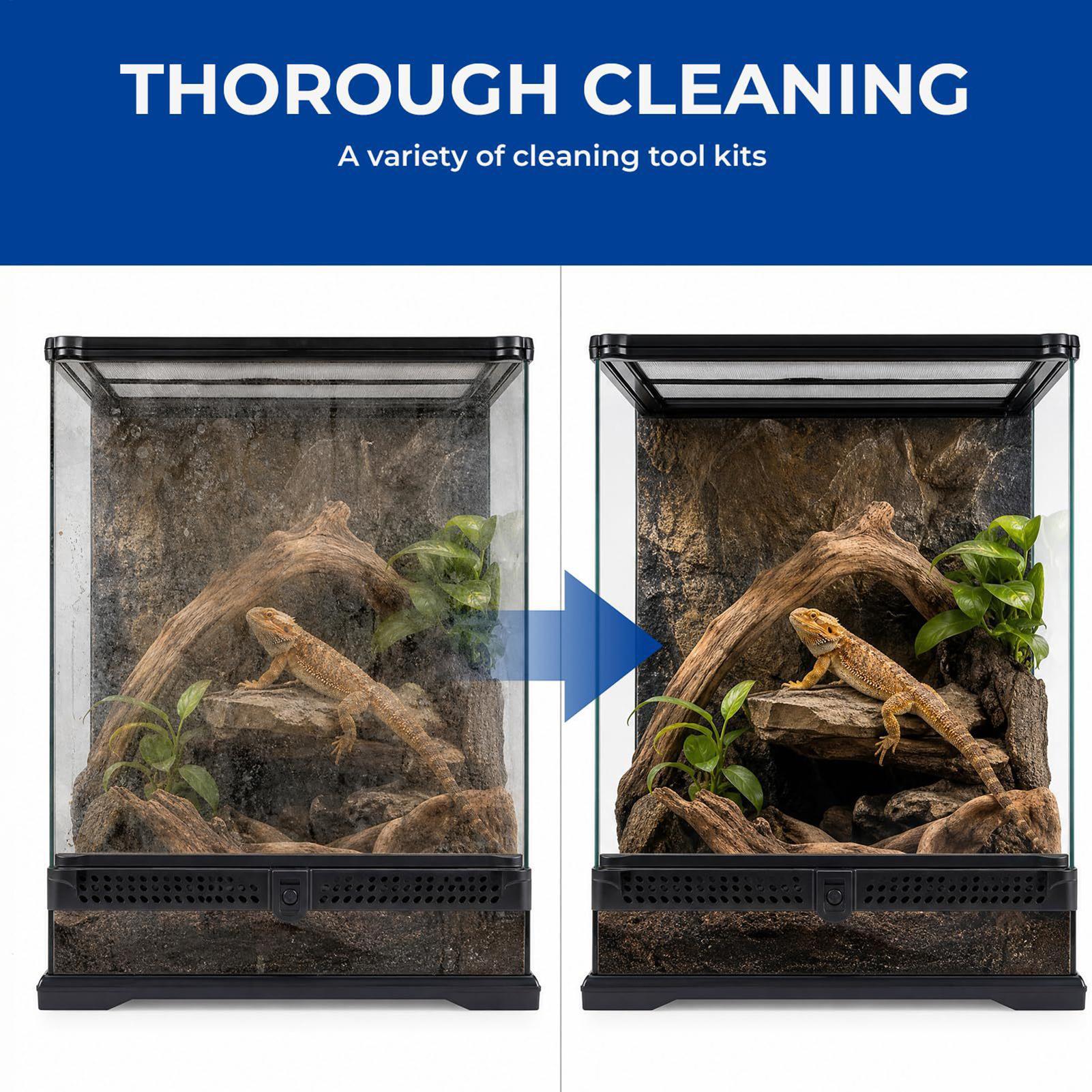 Bearded Dragon Tank Cleaning K - Feeding Tong Stainless avis et prix