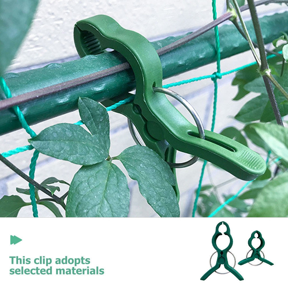 50Pcs Plant Support Clips Plas - Vine Climbing Plastic avis et prix