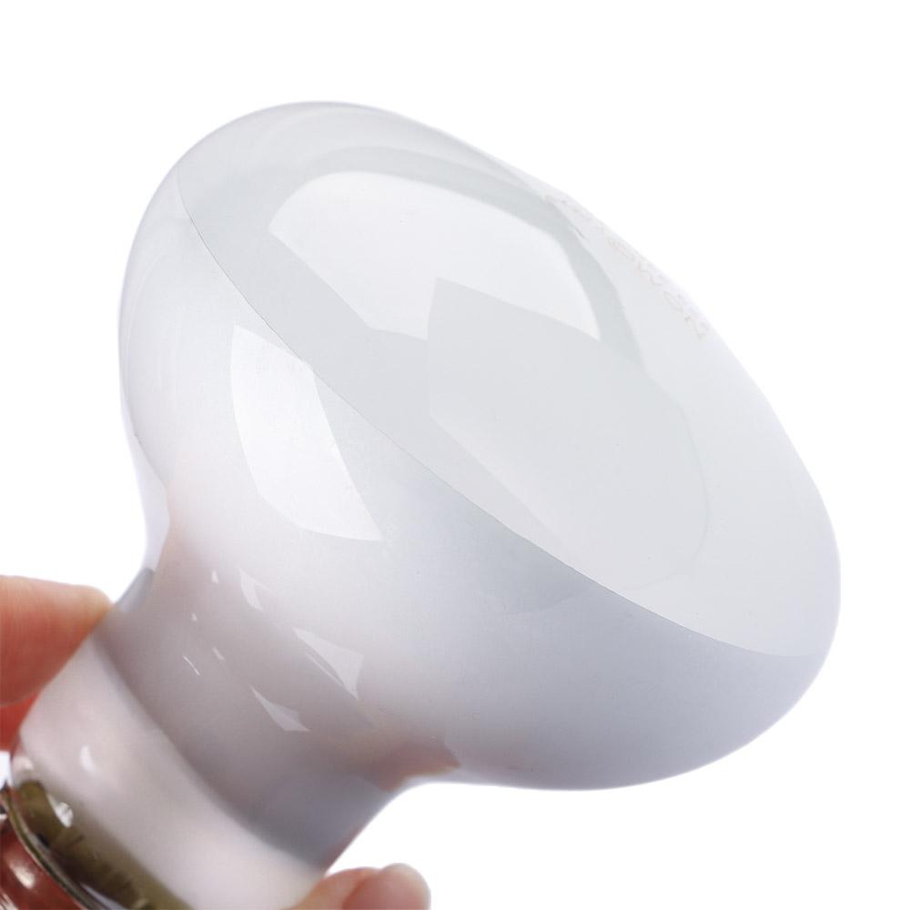 Turtle Heater Temperature Cont - Basking Bulb Halogen avis et prix