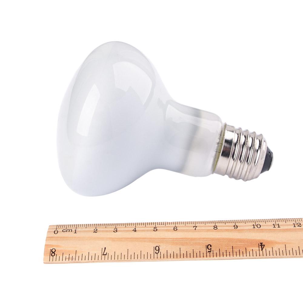 Turtle Heater Temperature Cont - Basking Bulb Halogen avis et prix