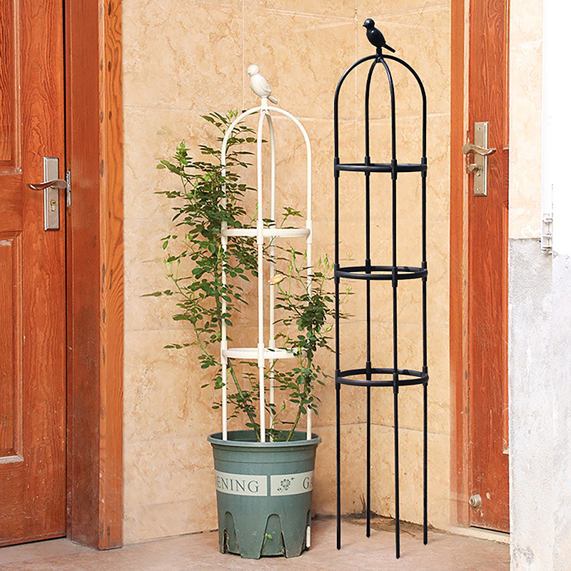 C 1Set Climbing Plant Trellis  - Vine Climbing Plastic avis et prix