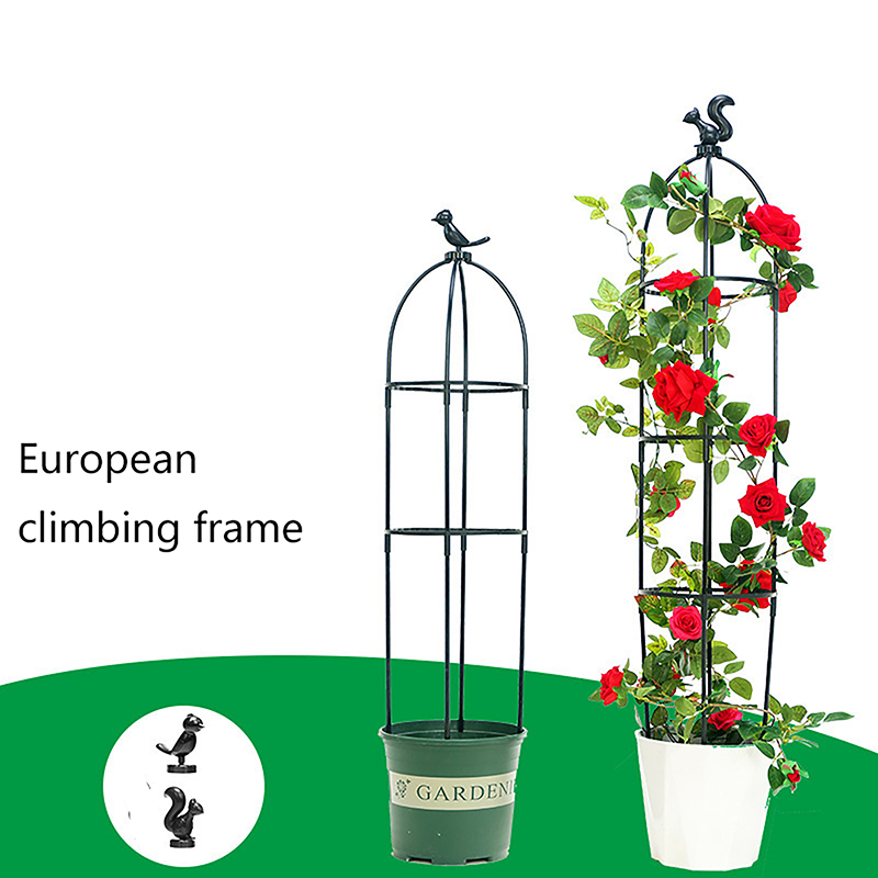C 1Set Climbing Plant Trellis  - Vine Climbing Plastic avis et prix