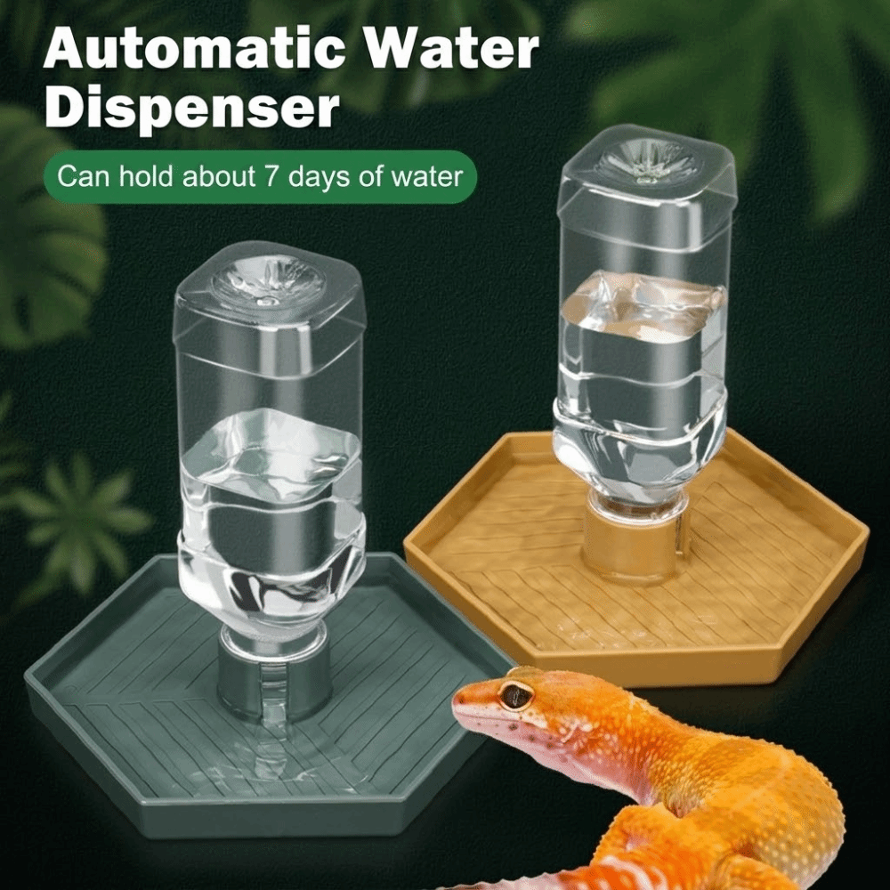 Feeding Supplies Automatic Tur - Water Dish Reptile avis et prix