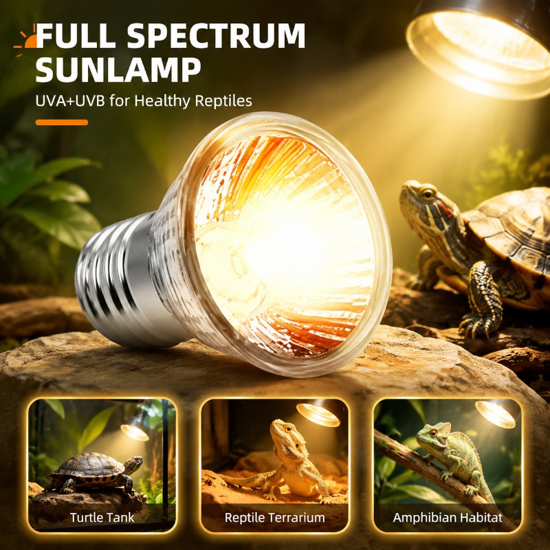 Multi-use Pet Basking Heat Lam - Calcium Powder Reptile avis et prix