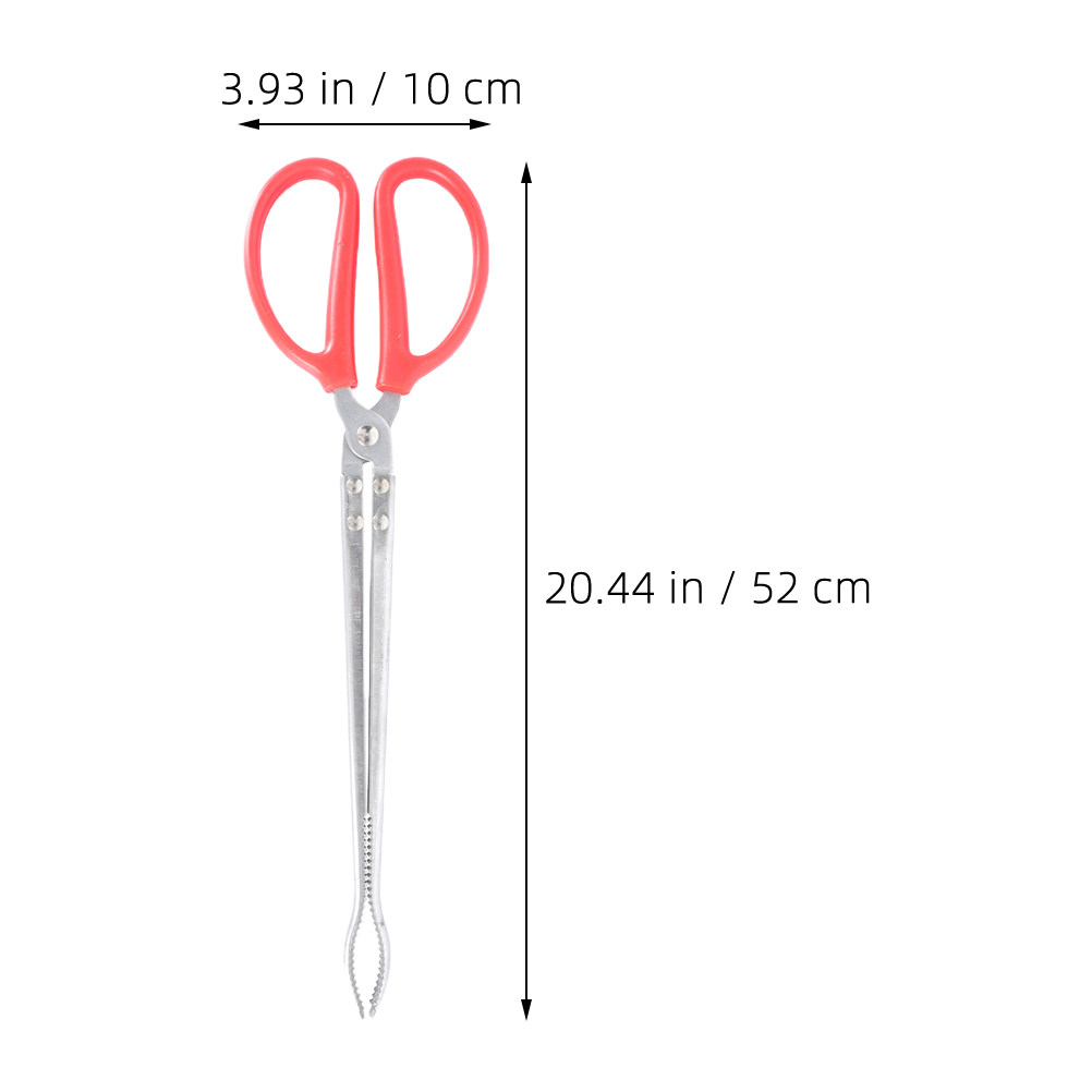 Long Handle Reptile Feeding To - Feeding Tong Stainless avis et prix