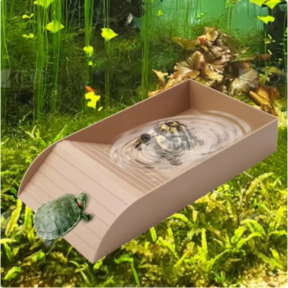 Turtle Bathing Pool Feeding Di - Water Dish Reptile avis et prix