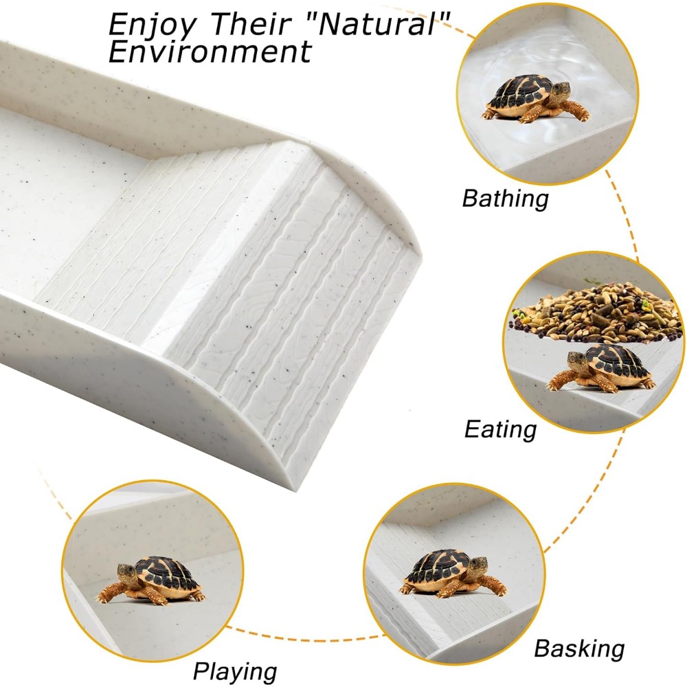 Turtle Bathing Pool Feeding Di - Water Dish Reptile avis et prix