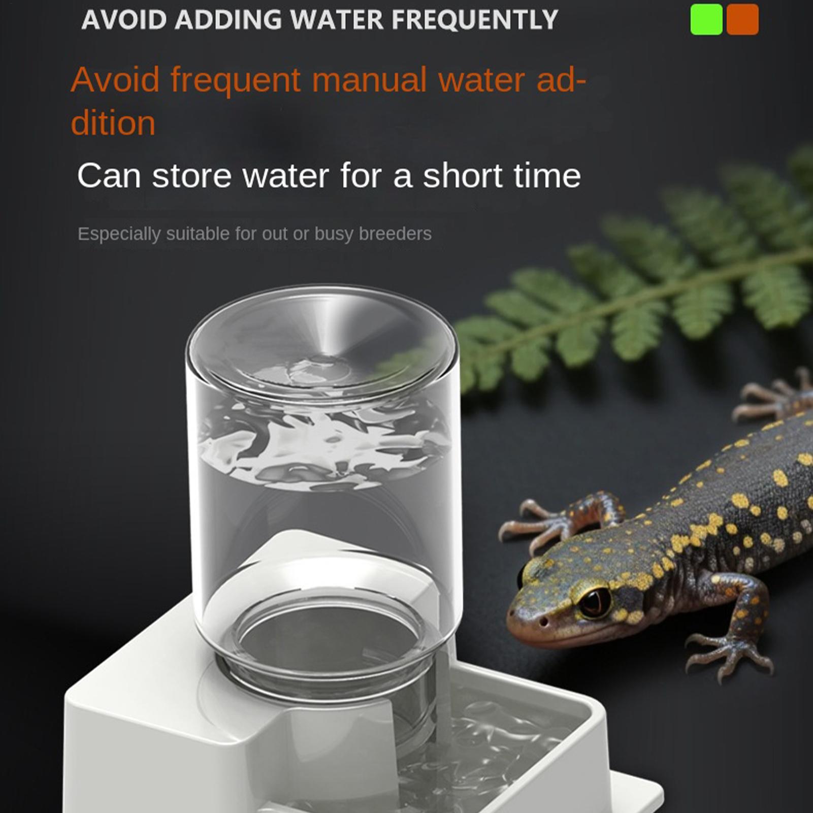 Bearded Dragon Water Fountain  - Water Dish Reptile avis et prix