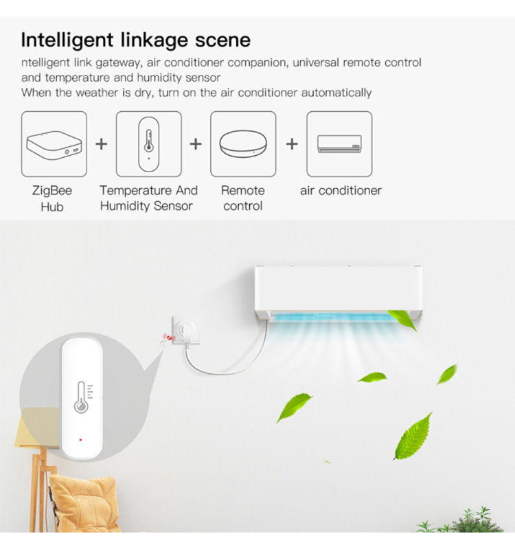 eWeLink Smart ZigBee Temperatu - Digital Hygrometer Probe avis et prix