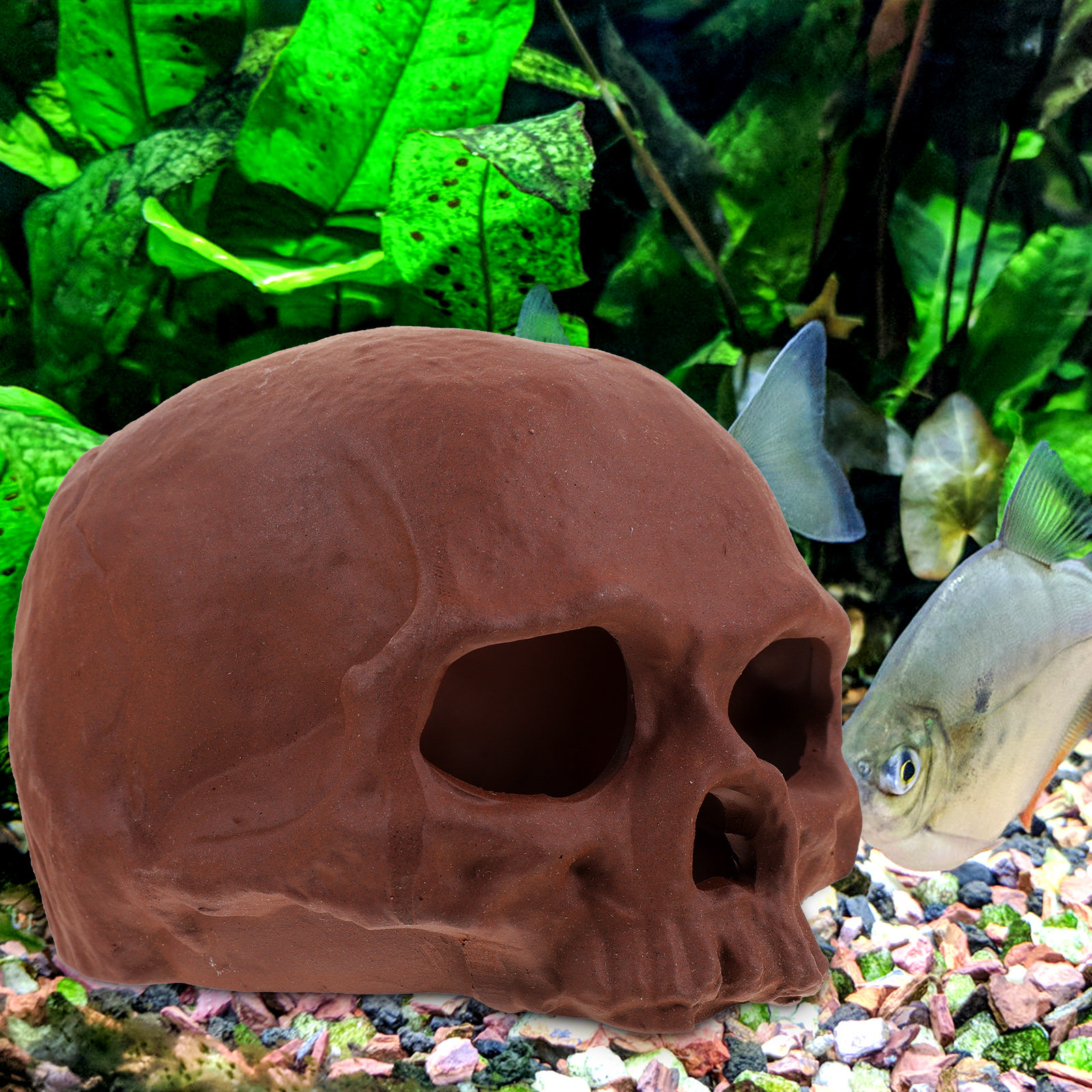 Ceramic Fish Tank Decoration S - Hide Cave Ceramic avis et prix