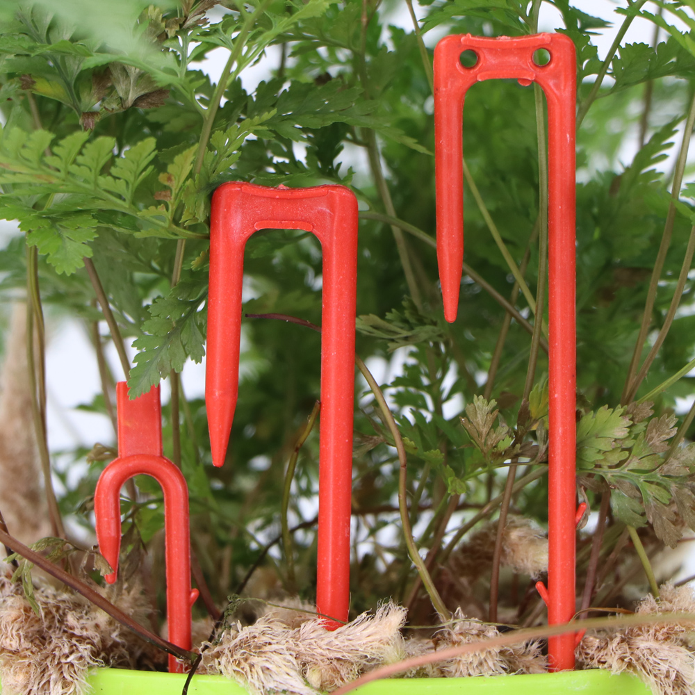 20-50PCS Strawberry Planting F - Vine Climbing Plastic avis et prix