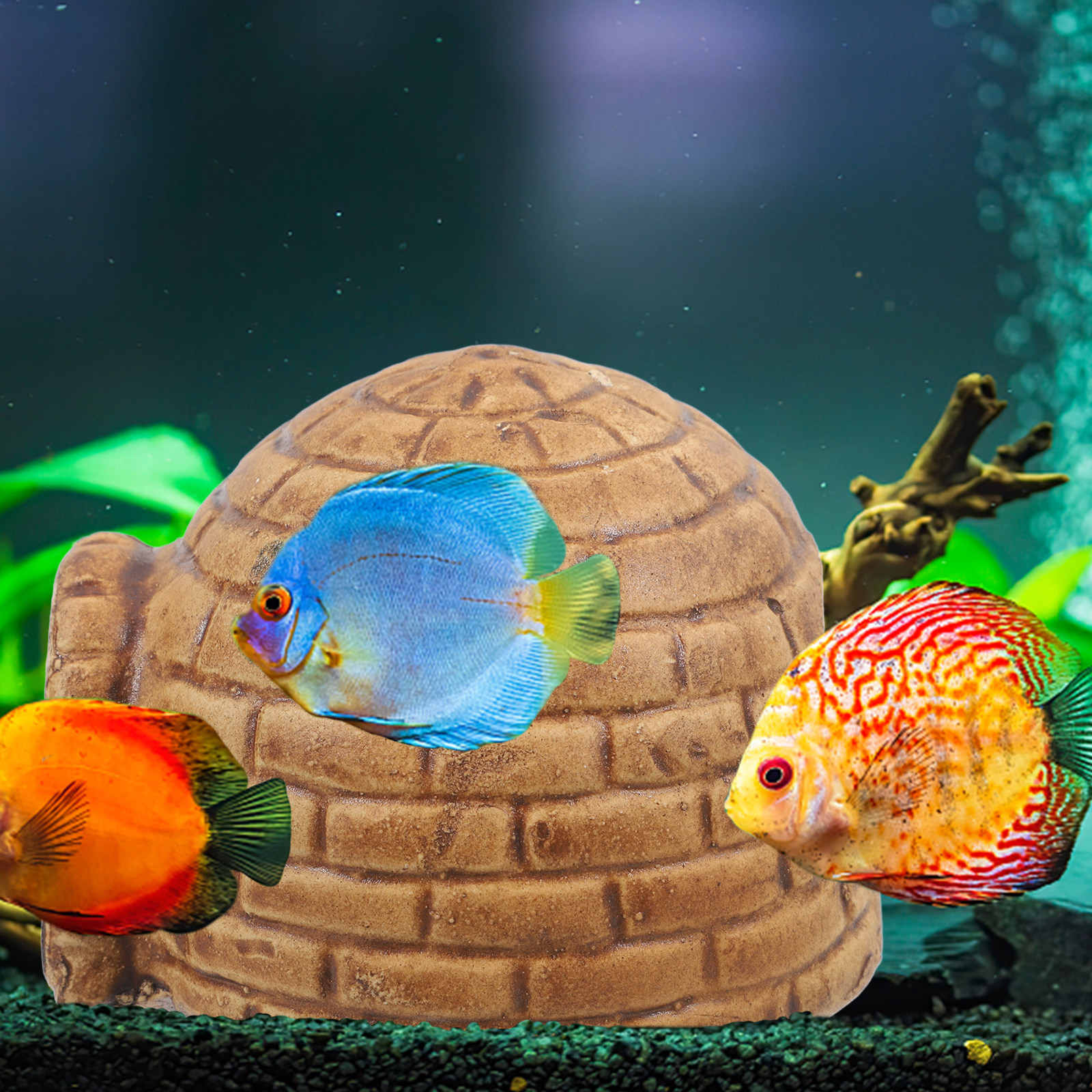 Pleco Caves for Aquarium Durab - Hide Cave Ceramic avis et prix