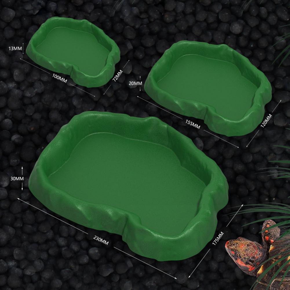 Reptile Feeder Plastic Imitati - Water Dish Reptile avis et prix