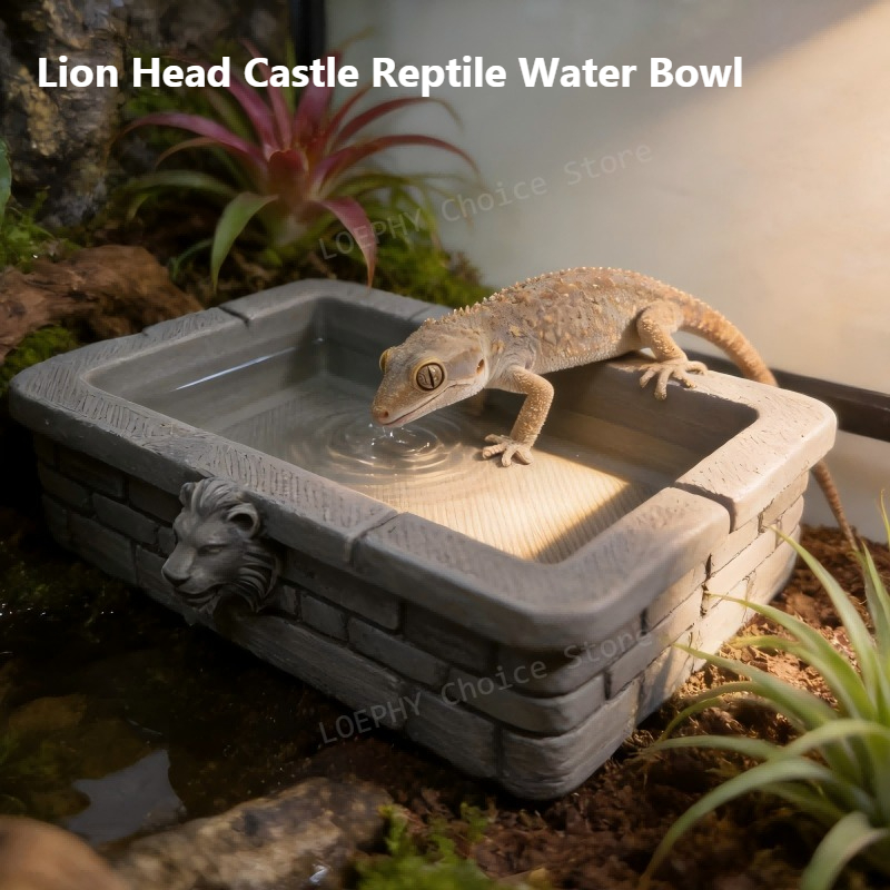 Castle Reptile Water Bowl Lion - Water Dish Reptile avis et prix