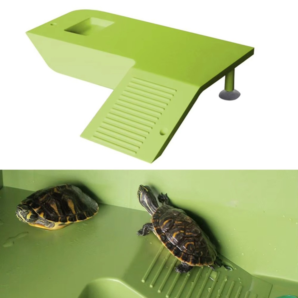 Water Land Slope Box Feeding C - Water Dish Reptile avis et prix