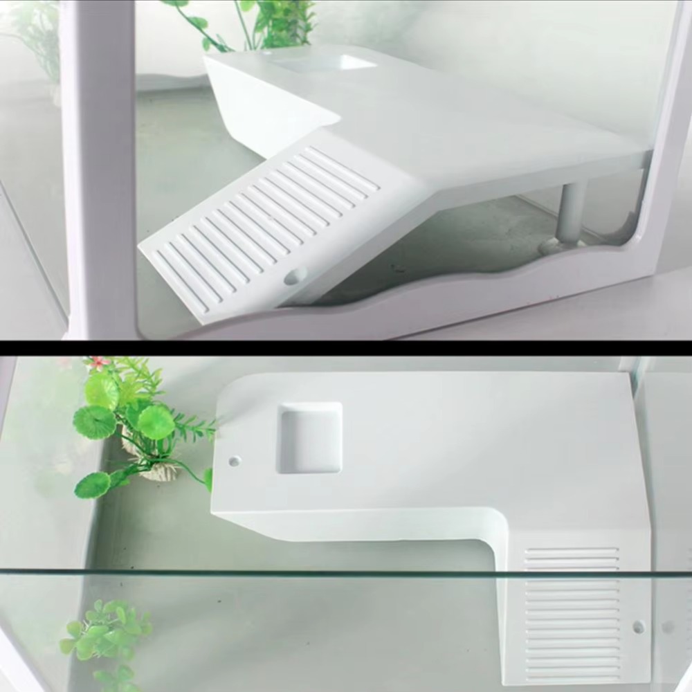 Water Land Slope Box Feeding C - Water Dish Reptile avis et prix