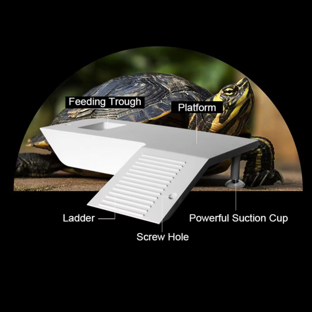 Water Land Slope Box Feeding C - Water Dish Reptile avis et prix