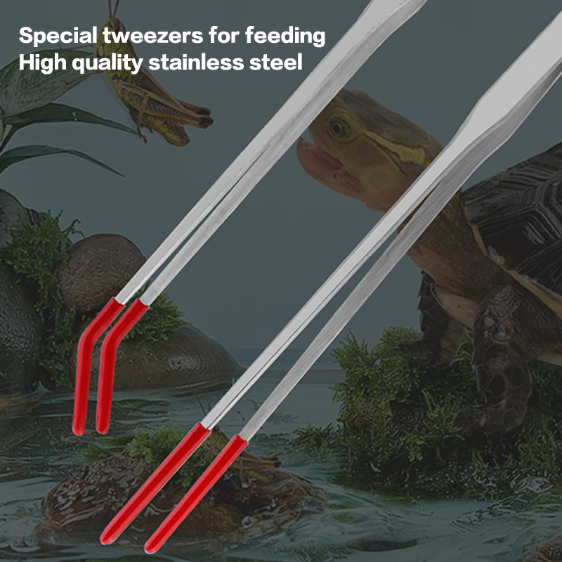 Stainless Steel Reptile Feedin - Feeding Tong Stainless avis et prix