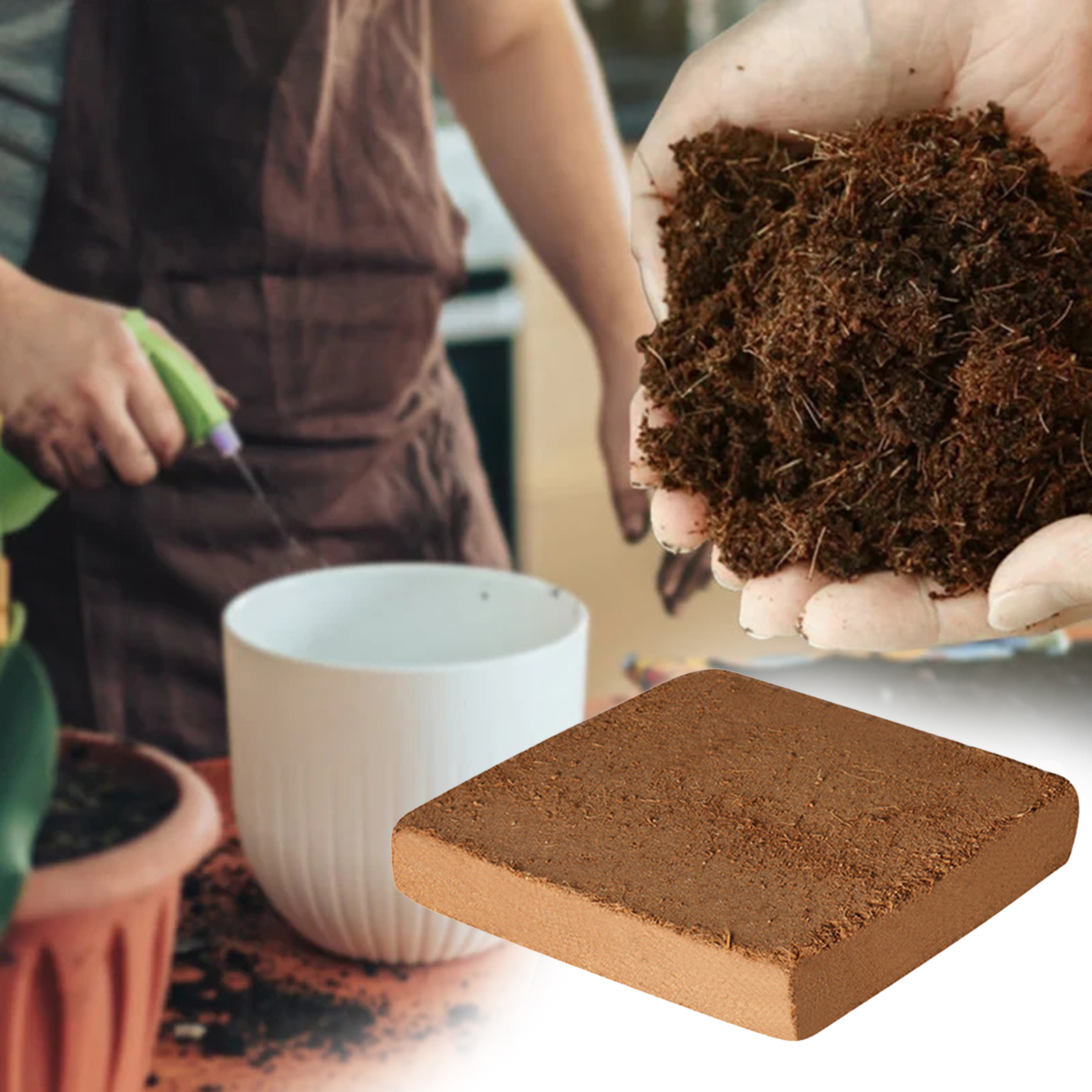 Soil Coconut Fibre Terrarium S - Substrate Coconut Fiber avis et prix
