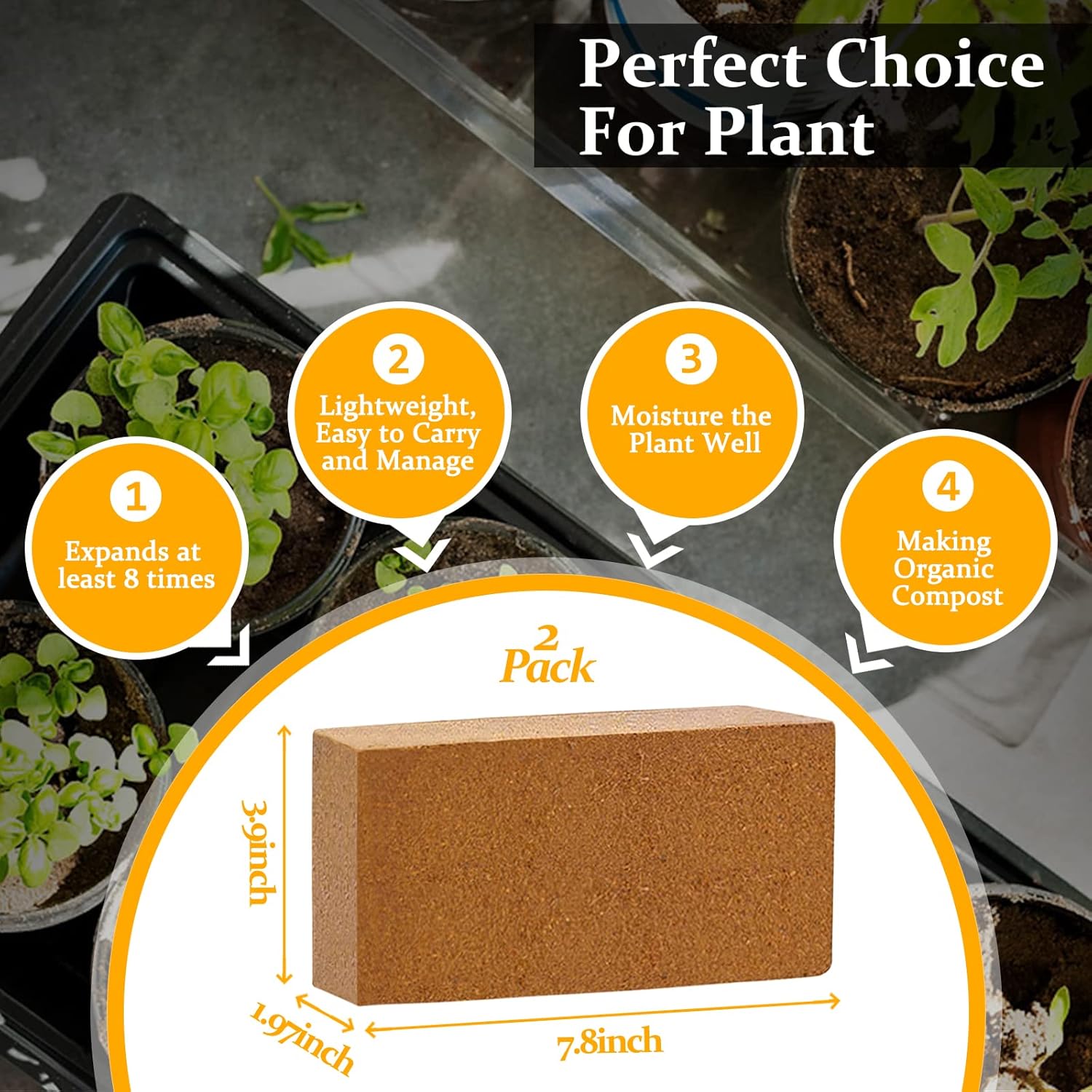 2pcs Organic Coco Coir Bricks  - Substrate Coconut Fiber avis et prix