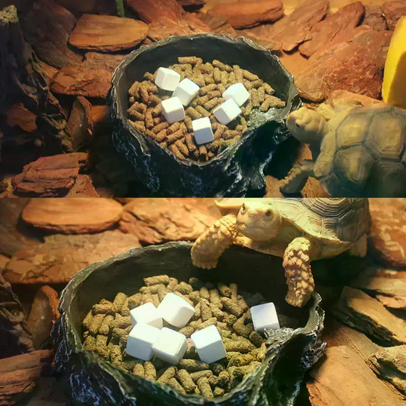 Slow Release Calcium Mineral B - Calcium Powder Reptile avis et prix
