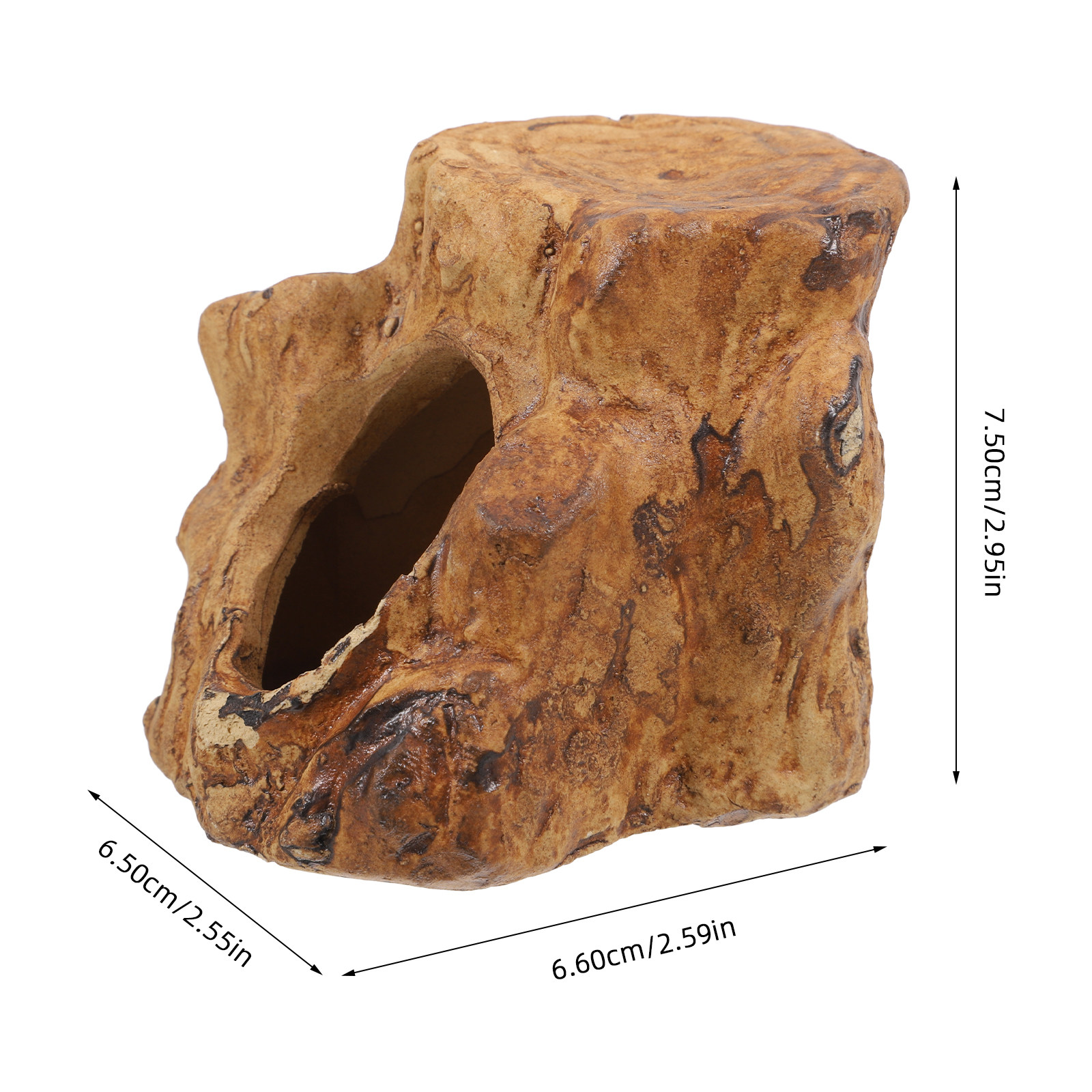 Natural-Looking Ceramic Fish T - Hide Cave Ceramic avis et prix