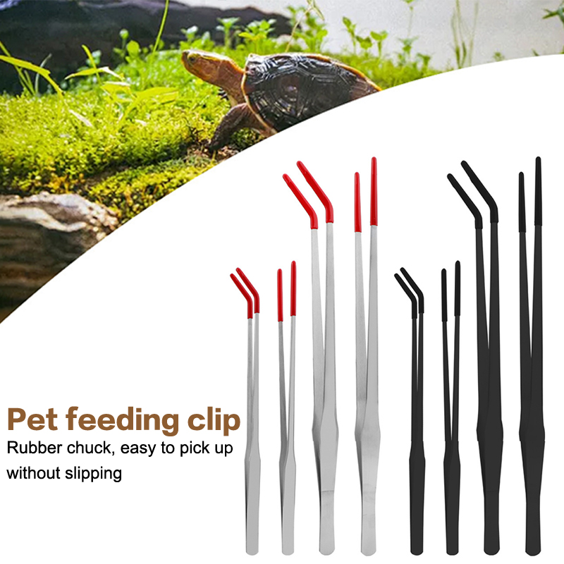 Hot Stainless Steel Reptile Wi - Feeding Tong Stainless avis et prix