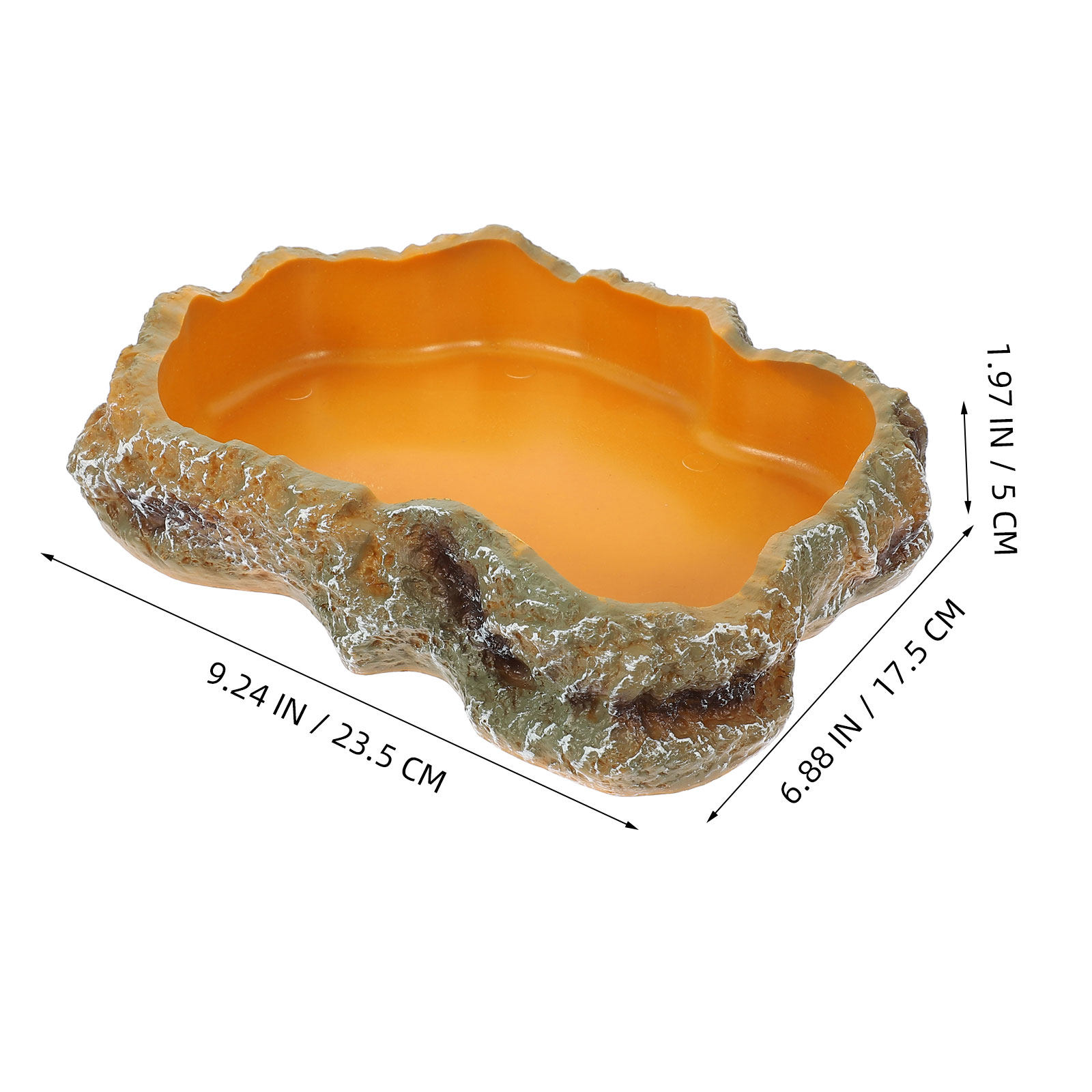 Reptile Food Basin Natural Col - Water Dish Reptile avis et prix