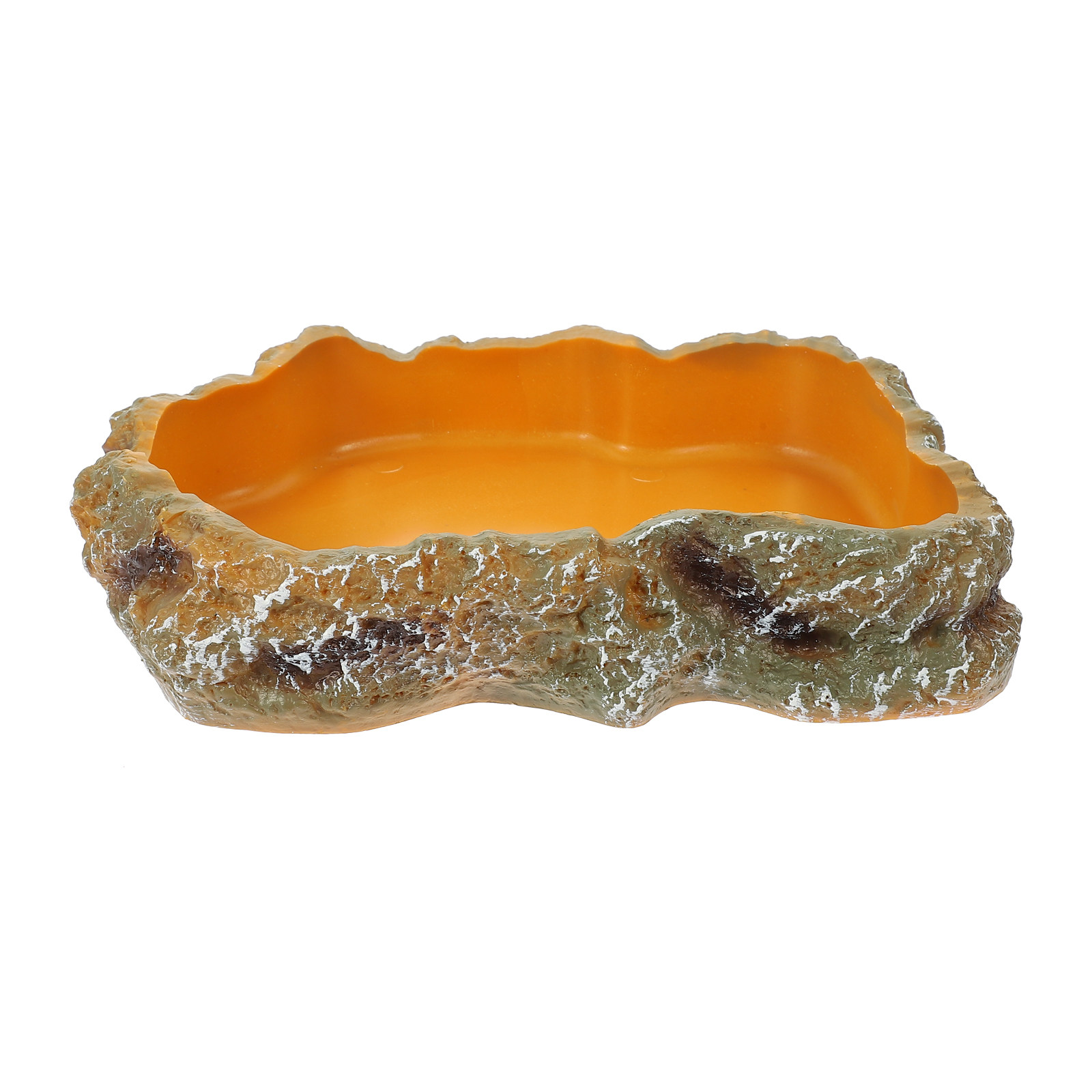 Reptile Food Basin Natural Col - Water Dish Reptile avis et prix